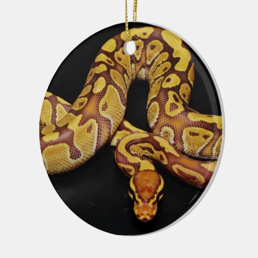 Bruin en goudbal Python Keramisch Ornament (Links)