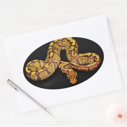 Bruin en goudbal Python Ovale Sticker (Envelop)