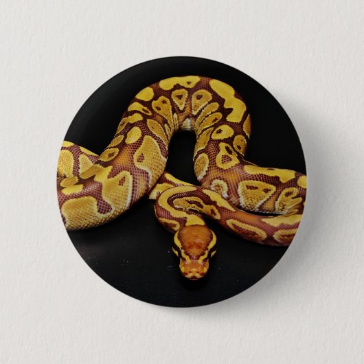 Bruin en goudbal Python Ronde Button 5,7 Cm (Voorkant)