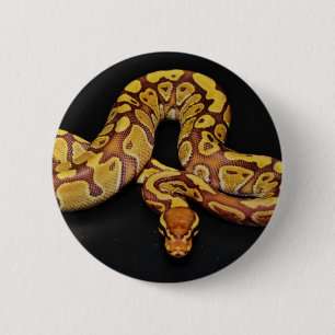 Bruin en goudbal Python Ronde Button 5,7 Cm