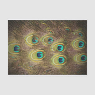 Bruin- en goudpacock tissuepapier