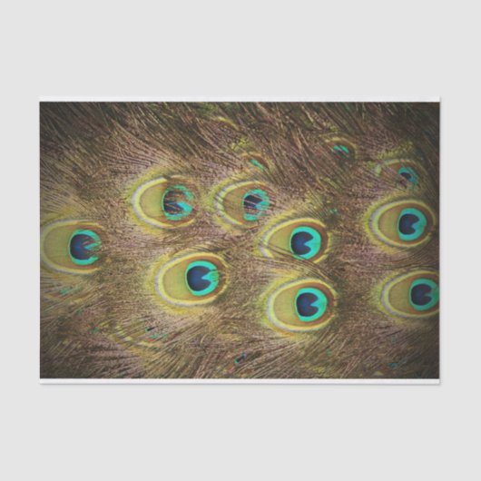 Bruin- en goudpacock tissuepapier (Voorkant)