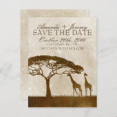 Bruin en Ivoor Afrikaans Giraffe Save The Date Aankondigingskaart (Voorkant / Achterkant)
