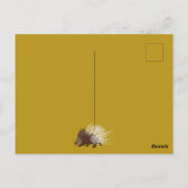 Bruin en mosterd Gold Porcupine Briefkaart (Achterkant)