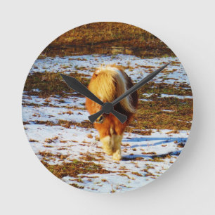Bruin en room miniatuurpaard in de sneeuw ronde klok