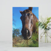 Bruin en roomkleurig paardenblauw briefpapier (Staand voorkant)