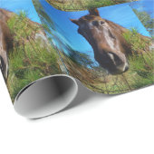 Bruin en roomkleurig paardenblauw cadeaupapier (Rol Hoek)