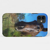 Bruin en roomkleurig paardenblauw Case-Mate iPhone case (Achterkant (horizontaal))