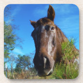 Bruin en roomkleurig paardenblauw drankjes onderzetter (Voorkant)