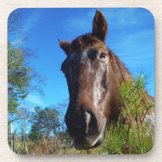 Bruin en roomkleurig paardenblauw drankjes onderzetter (Voorkant)