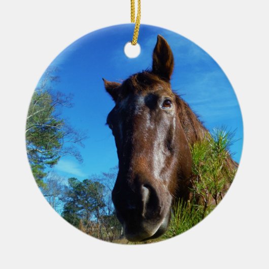 Bruin en roomkleurig paardenblauw keramisch ornament (Voorkant)