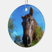 Bruin en roomkleurig paardenblauw keramisch ornament (Links)