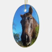 Bruin en roomkleurig paardenblauw keramisch ornament (Links)