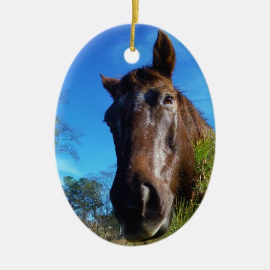 Bruin en roomkleurig paardenblauw keramisch ornament (Voorkant)