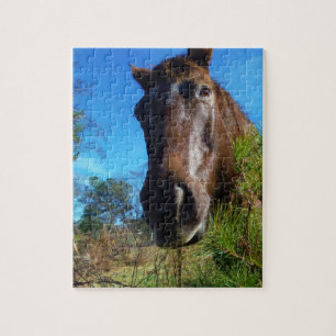 Bruin en roomkleurig paardenblauw legpuzzel