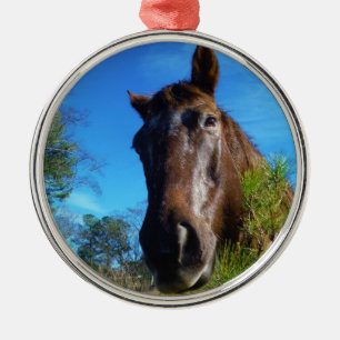 Bruin en roomkleurig paardenblauw metalen ornament