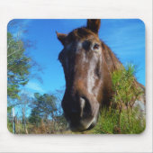 Bruin en roomkleurig paardenblauw muismat (Voorkant)