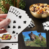 Bruin en roomkleurig paardenblauw pokerkaarten (Insitu)