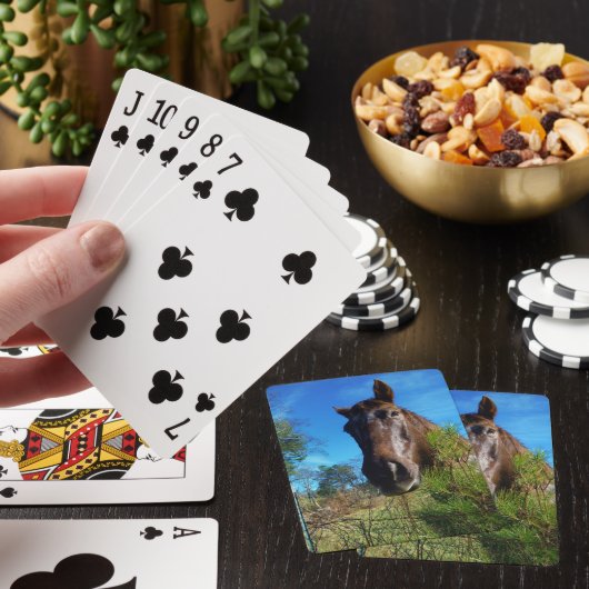 Bruin en roomkleurig paardenblauw pokerkaarten (Insitu)