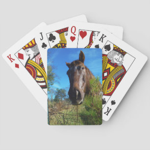 Bruin en roomkleurig paardenblauw pokerkaarten