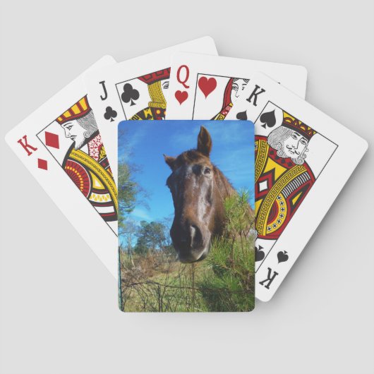 Bruin en roomkleurig paardenblauw pokerkaarten (Achterkant)