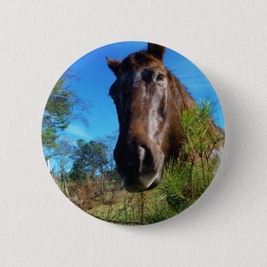 Bruin en roomkleurig paardenblauw ronde button 5,7 cm (Voorkant)