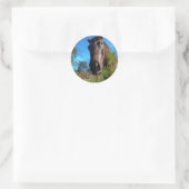 Bruin en roomkleurig paardenblauw ronde sticker (Tas)