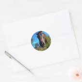 Bruin en roomkleurig paardenblauw ronde sticker (Envelop)