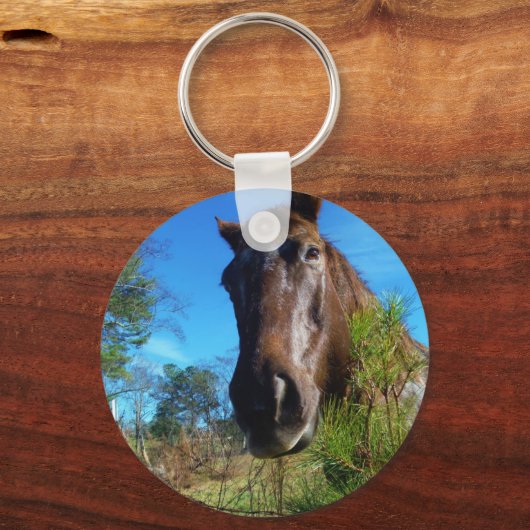 Bruin en roomkleurig paardenblauw sleutelhanger (Voorkant)