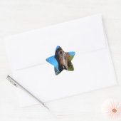 Bruin en roomkleurig paardenblauw ster sticker (Envelop)