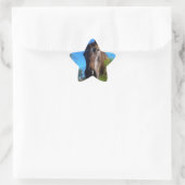 Bruin en roomkleurig paardenblauw ster sticker (Tas)