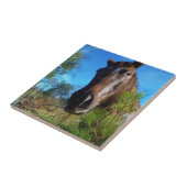 Bruin en roomkleurig paardenblauw tegeltje (Zijkant)