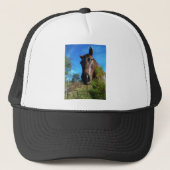 Bruin en roomkleurig paardenblauw trucker pet (Voorkant)