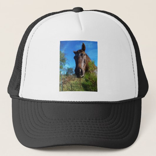 Bruin en roomkleurig paardenblauw trucker pet (Voorkant)