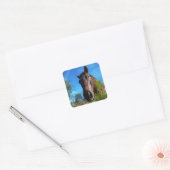 Bruin en roomkleurig paardenblauw vierkante sticker (Envelop)