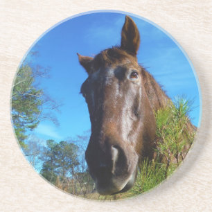 Bruin en roomkleurig paardenblauw zandsteen onderzetter