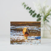 Bruin en roomminiatuur paard in de sneeuw. briefkaart (Staand voorkant)