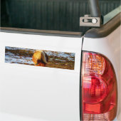 Bruin en roomminiatuur paard in de sneeuw. bumpersticker (Op Truck)