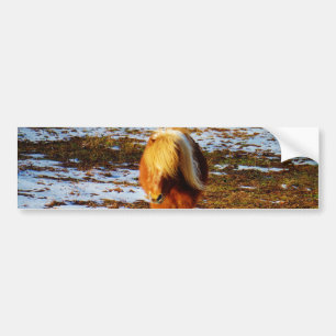 Bruin en roomminiatuur paard in de sneeuw. bumpersticker