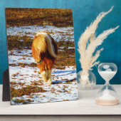 Bruin en roomminiatuur paard in de sneeuw. fotoplaat (Zijkant)