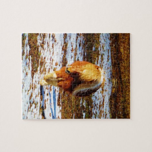 Bruin en roomminiatuur paard in de sneeuw. legpuzzel (Horizontaal)