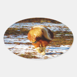 Bruin en roomminiatuur paard in de sneeuw. ovale sticker