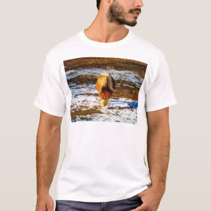 Bruin en roomminiatuur paard in de sneeuw. t-shirt