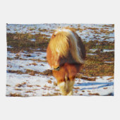 Bruin en roomminiatuur paard in de sneeuw. theedoek (Horizontaal)