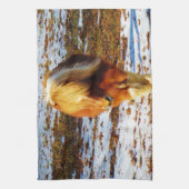 Bruin en roomminiatuur paard in de sneeuw. theedoek (Verticaal)