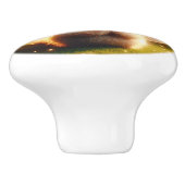 Bruin en schoonheid keramische knop (Zijkant)