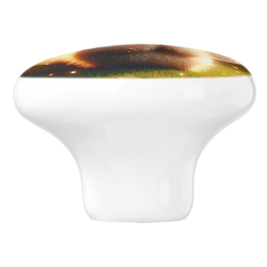 Bruin en schoonheid keramische knop (Zijkant)