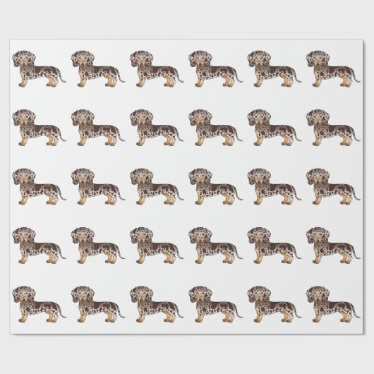Bruin en Tan Dapple Short Hair Dachshund Pattern Cadeaupapier (Vlak)