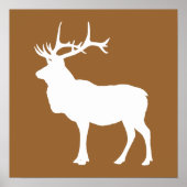 Bruin en White Elk Poster (Voorkant)