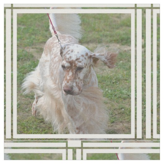 Bruin en wit Engels Stof (Close Up)